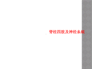 脊柱四肢及神经糸綂课件.ppt