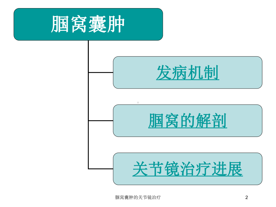 腘窝囊肿的关节镜治疗培训课件.ppt_第2页