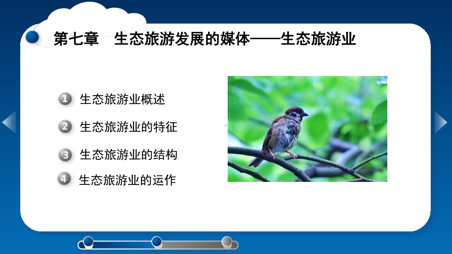 生态旅游业课件.ppt_第1页