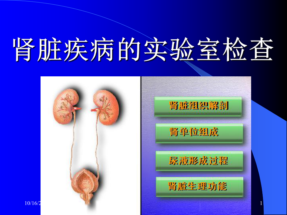 试谈肾脏疾病的实验室检查课件.ppt_第1页