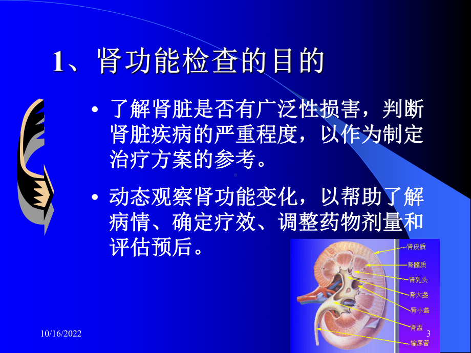 试谈肾脏疾病的实验室检查课件.ppt_第3页