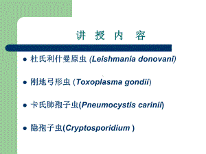 杜氏利什曼原虫刚地弓形虫卡氏肺孢子虫隐孢子虫-课件.ppt