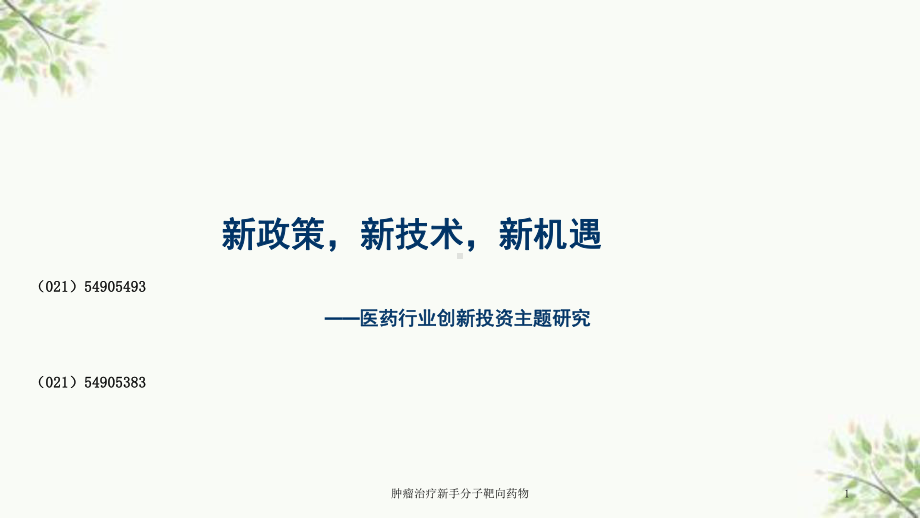 肿瘤治疗新手分子靶向药物课件.ppt_第1页