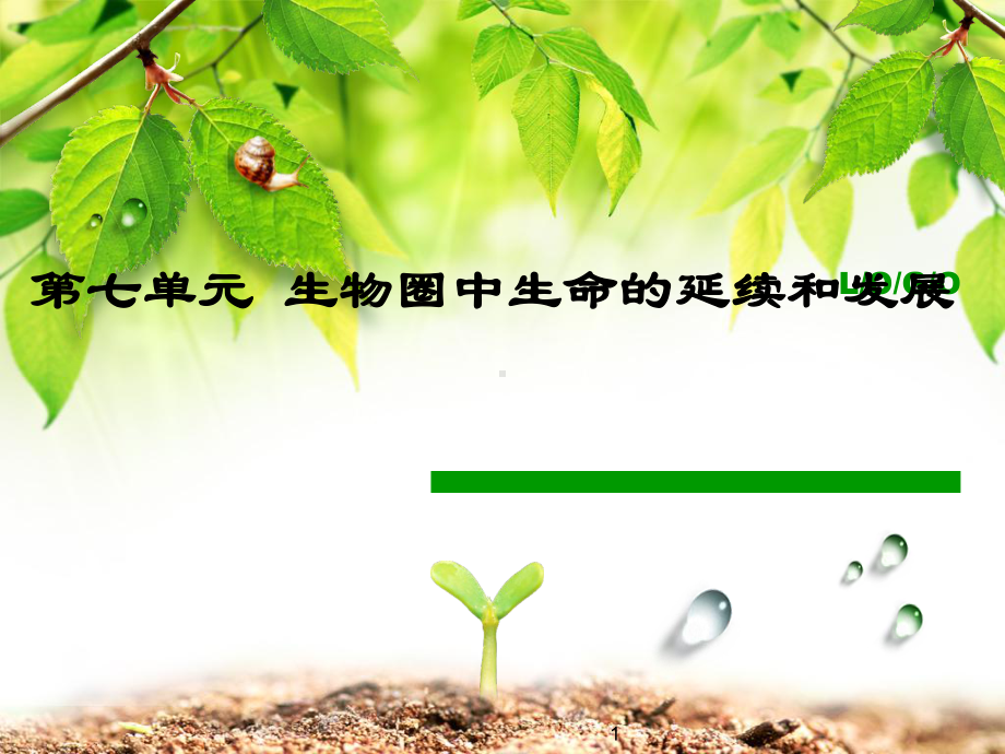 新人教版植物的生殖教学课件.ppt_第1页