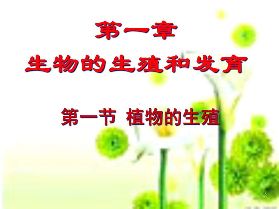 新人教版植物的生殖教学课件.ppt_第2页