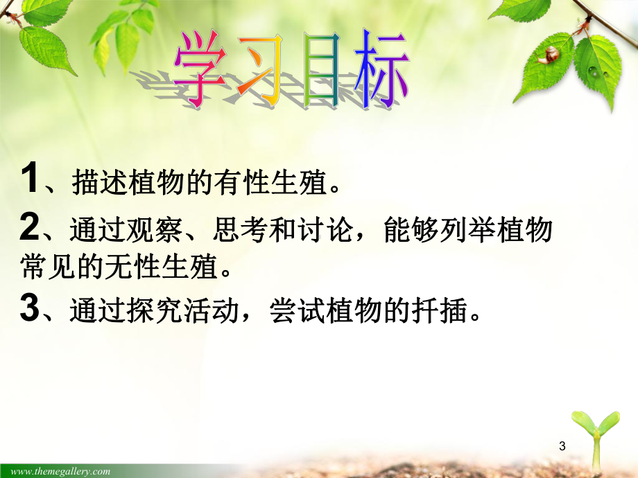 新人教版植物的生殖教学课件.ppt_第3页