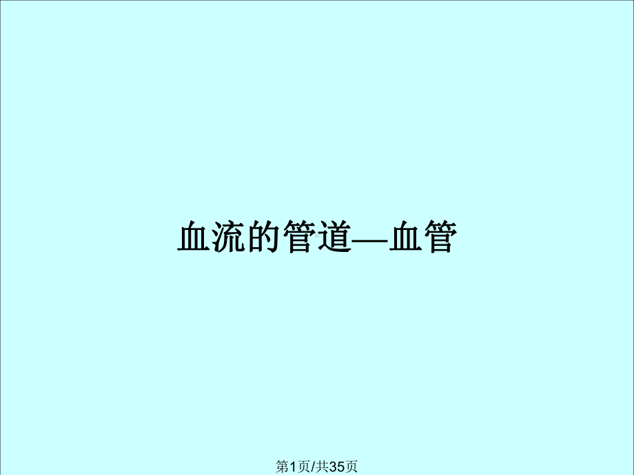 血流的管道—血管全面版课件.pptx_第1页