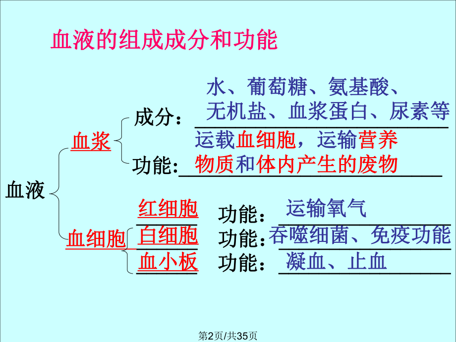 血流的管道—血管全面版课件.pptx_第2页