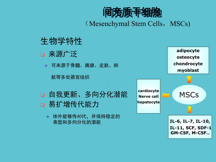 间充质干细胞的临床应用心得课件.ppt_第3页