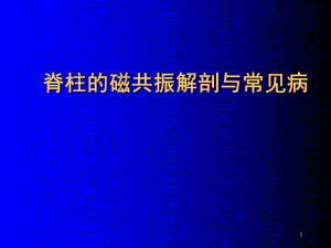 脊柱MR解剖与脊髓常见疾病学习课件.ppt