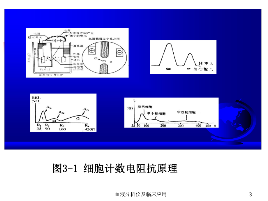 血液分析仪及临床应用课件.ppt_第3页