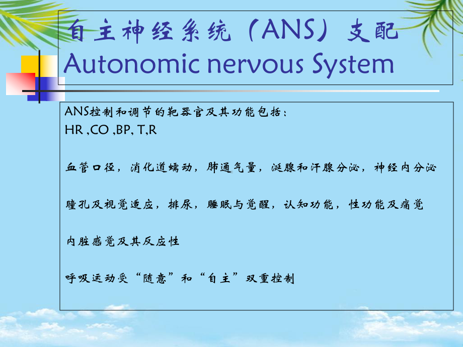 自主神经系统最全课件.ppt_第3页