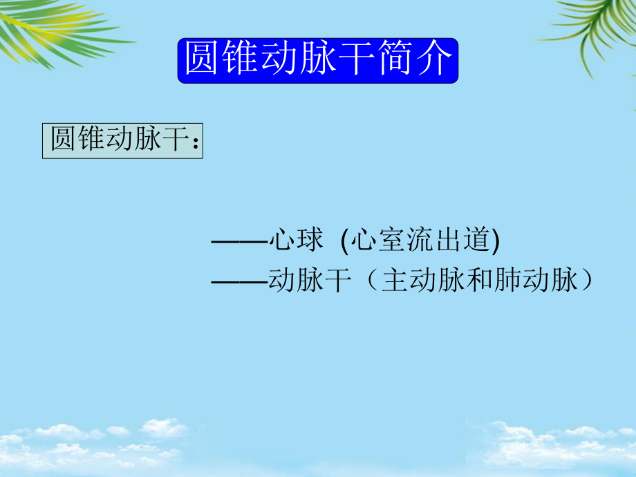 胎儿心脏锥干畸形有动画课件.ppt_第1页