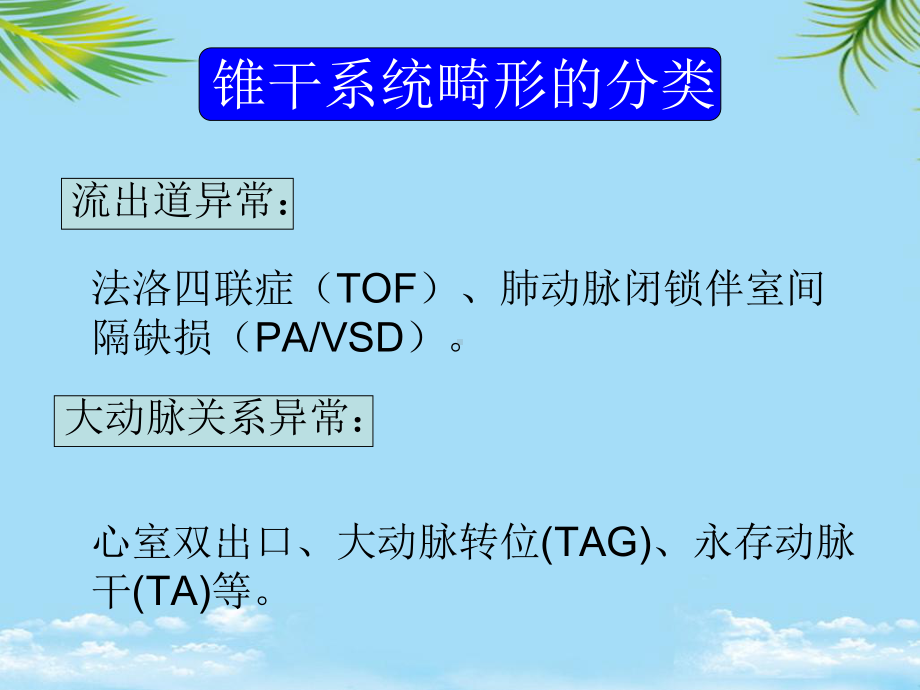 胎儿心脏锥干畸形有动画课件.ppt_第2页