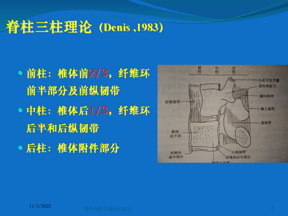 脊柱骨折专题知识宣讲培训课件.ppt_第3页