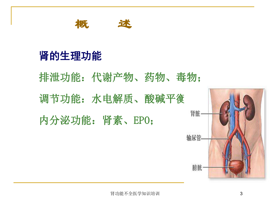 肾功能不全医学知识培训培训课件.ppt_第3页