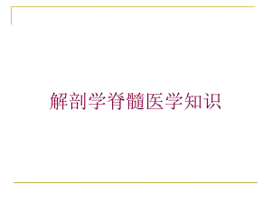 解剖学脊髓医学知识培训课件.ppt