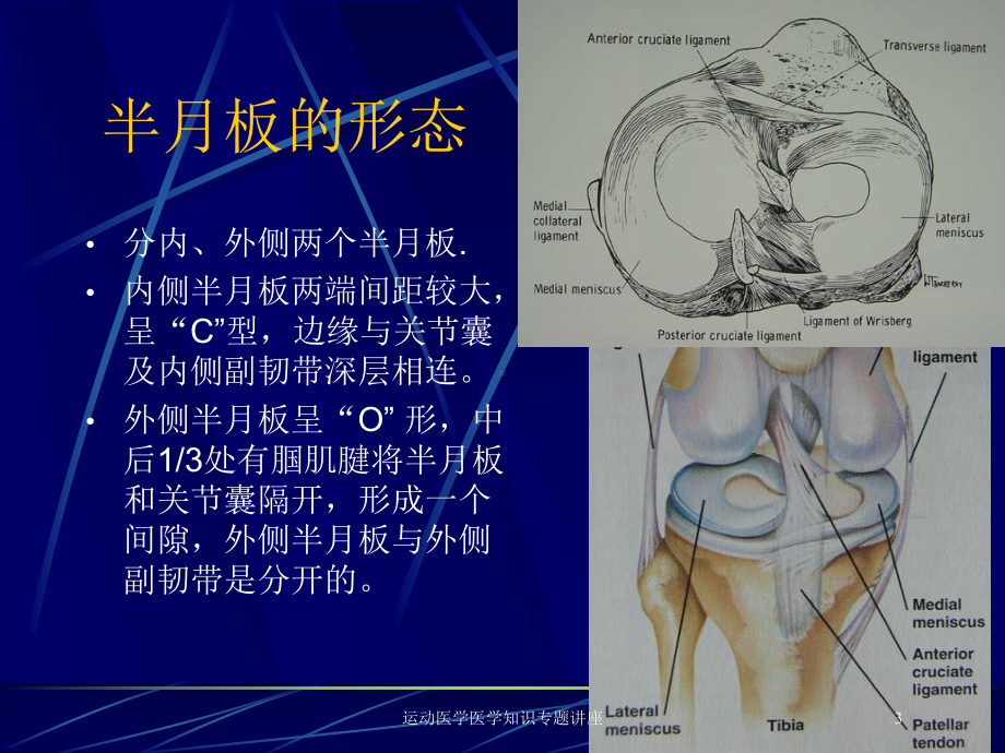 运动医学医学知识专题讲座培训课件.ppt_第3页