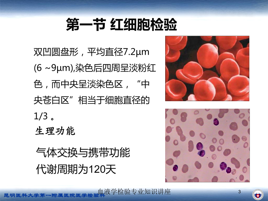 血液学检验专业知识讲座培训课件.ppt_第3页