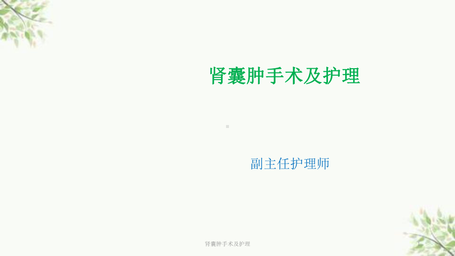 肾囊肿手术及护理课件.ppt_第1页