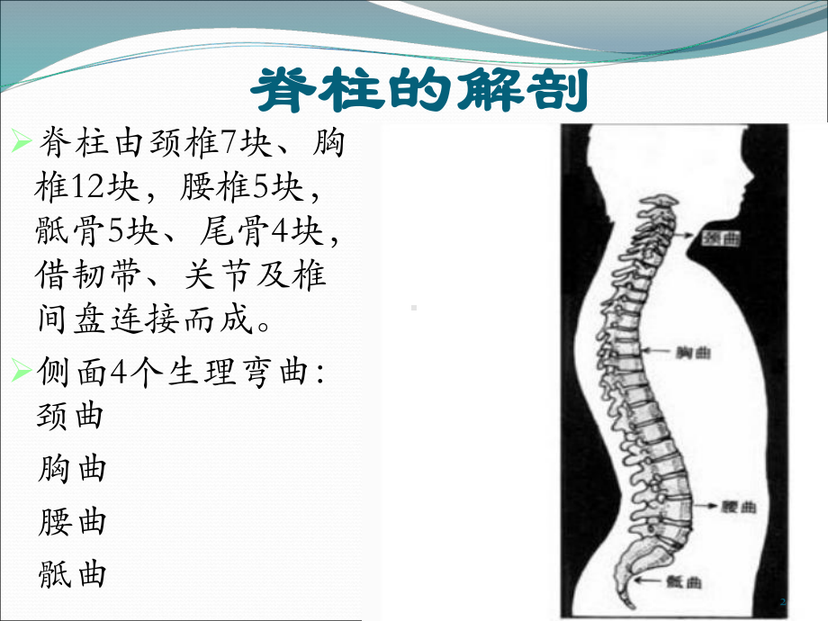 脊柱微创手术的护理参考课件.ppt_第2页