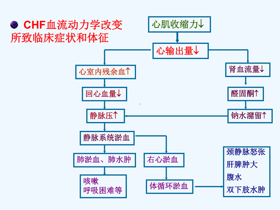 药理学-第26章-抗心衰药课件-2.ppt_第3页