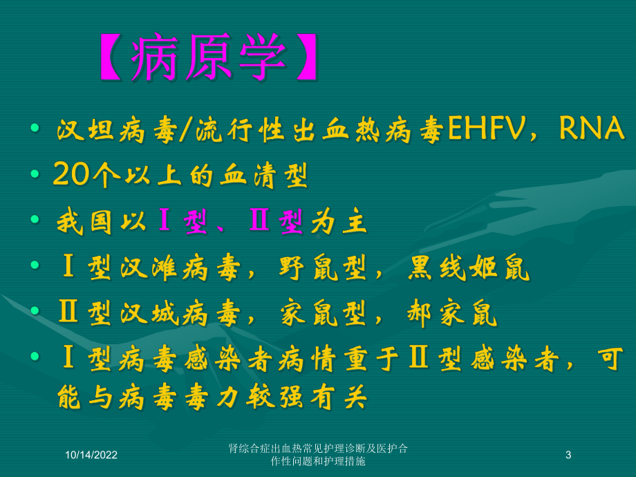 肾综合症出血热常见护理诊断及医护合作性问题和护理措施培训课件.ppt_第3页