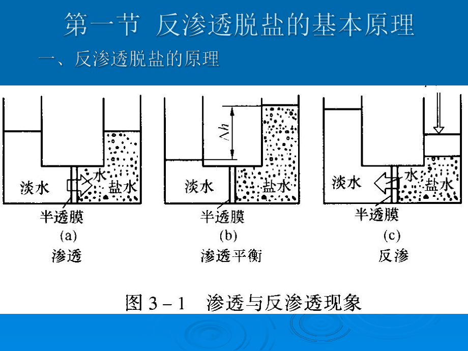 电厂化学岗前培训第三章水的预脱盐(反渗透)课件.ppt_第3页