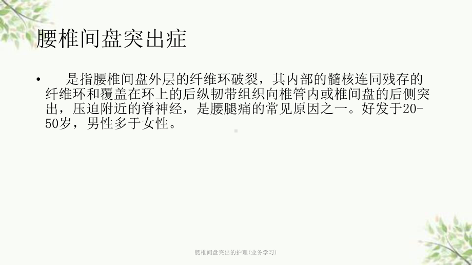 腰椎间盘突出的护理(业务学习)课件.ppt_第2页