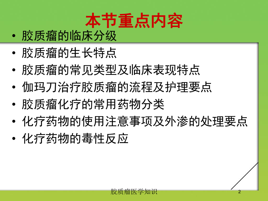 胶质瘤医学知识培训课件.ppt_第2页