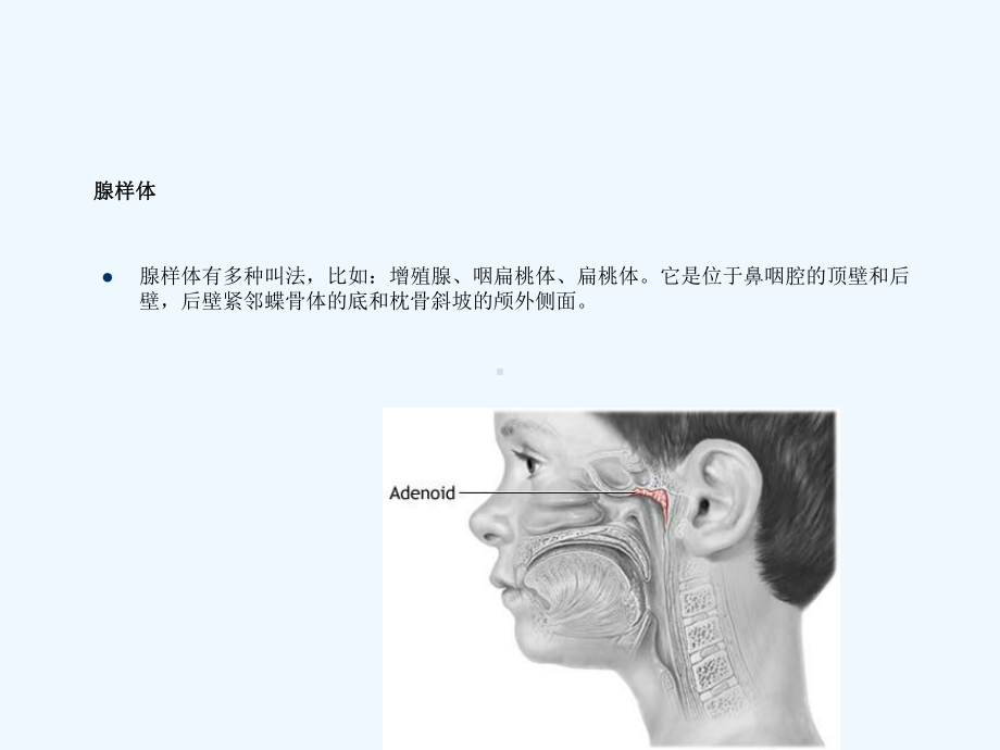 腺样体增大X线测量及诊断课件.ppt_第2页