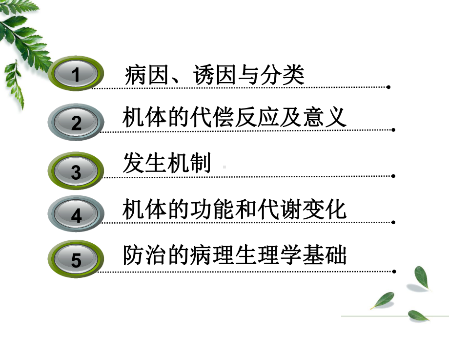 病理生理学的案例版-心功能不全-课件.ppt_第3页