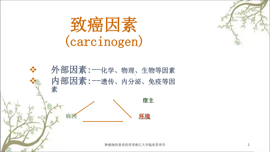 肿瘤烧伤患者的营养临床营养学课件.ppt_第2页