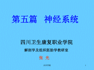 试讲脊髓课件.ppt