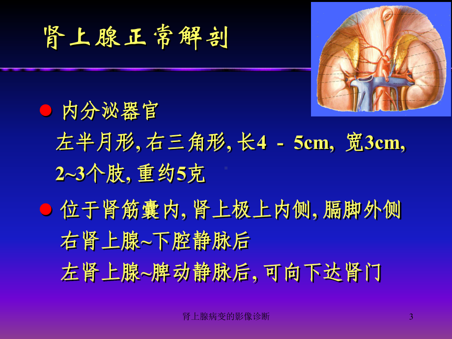 肾上腺病变的影像诊断课件.ppt_第3页