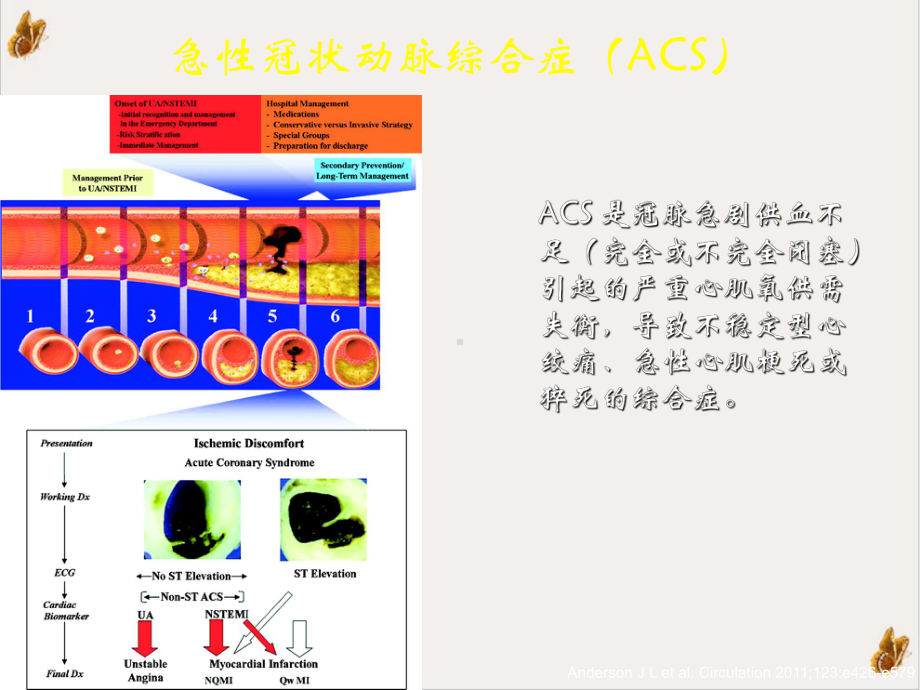 非st段抬网高acs危险评估及治疗策略课件.pptx_第1页