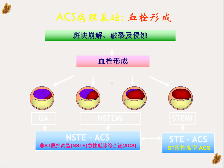 非st段抬网高acs危险评估及治疗策略课件.pptx_第3页