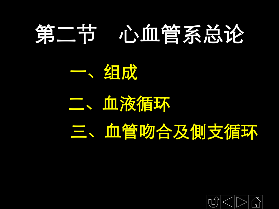 正常人体解剖学-循环系统-共63张课件.ppt_第3页