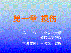 节软组织的非开放性损伤课件.ppt