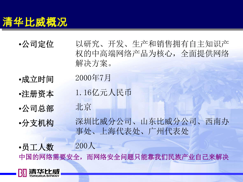 渠道解决方案和产品线课件.ppt_第2页