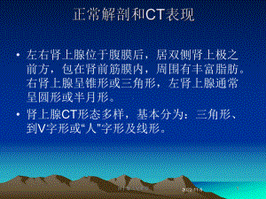 肾上腺常见肿瘤培训课件.ppt