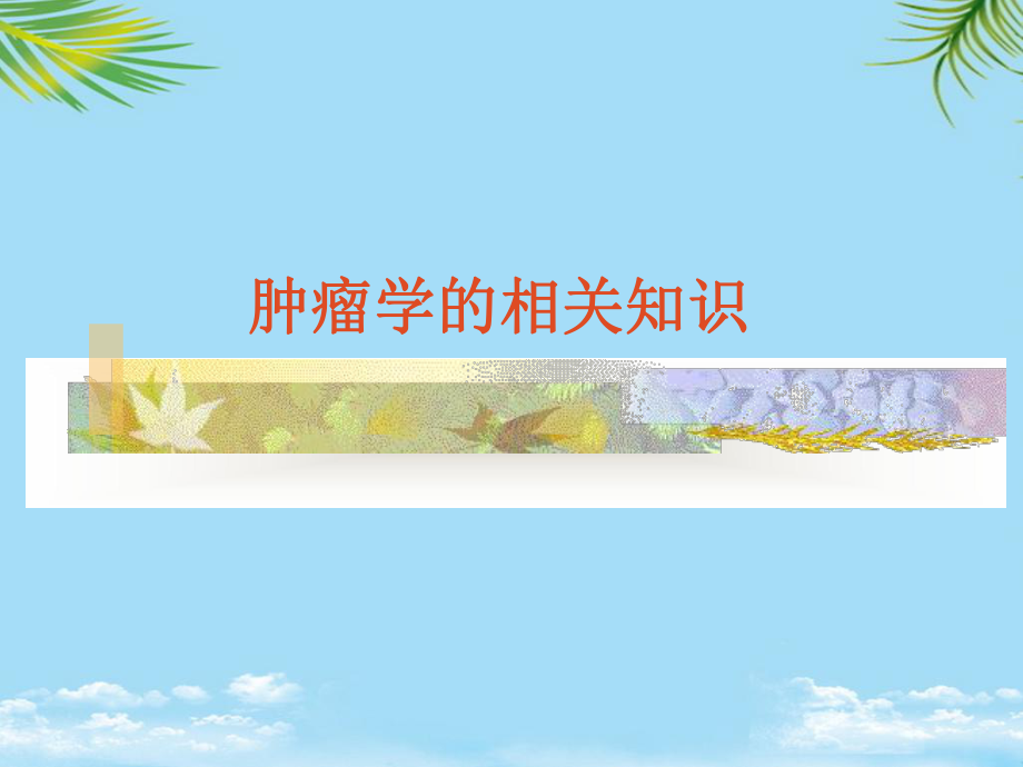 肿瘤化疗毒副反应的防治课件.ppt_第1页