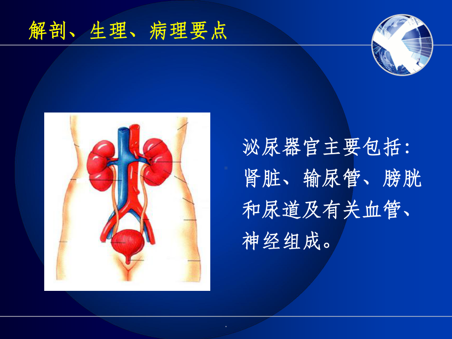 肾内科相关基础知识课件-2.ppt_第2页