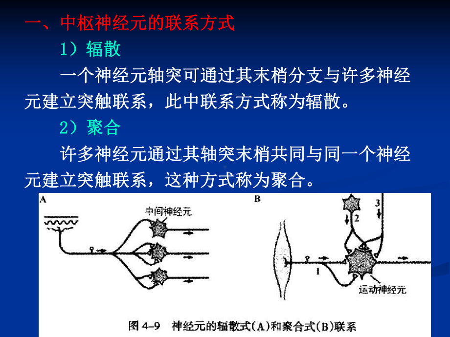 人体解剖生理学-第三章高级神经系统功能课件-2.ppt_第2页