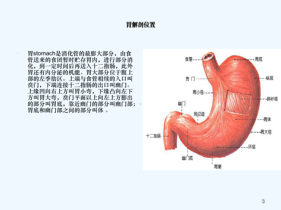 胃癌切除毕式吻合肝囊肿去顶引流术术后护理查房课件.ppt_第3页