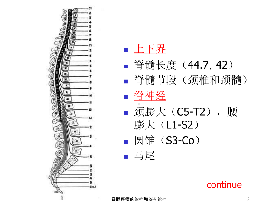 脊髓疾病的诊疗和鉴别诊疗培训课件.ppt_第3页