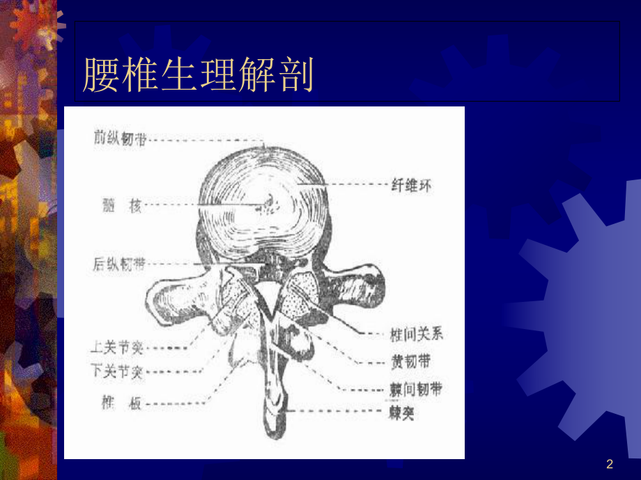 腰腿痛的针灸治疗医学课件.ppt_第2页