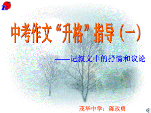 中考作文“升格”指导课件.ppt