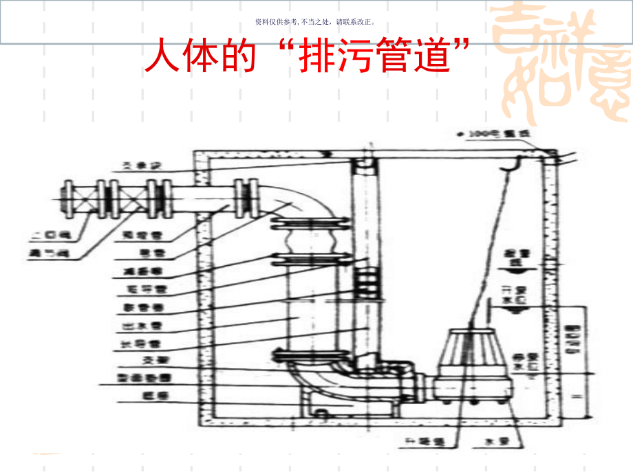 足太阳膀胱经课件.ppt_第3页