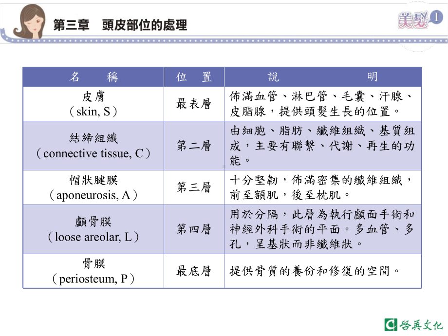 油性头皮屑课件.ppt_第3页